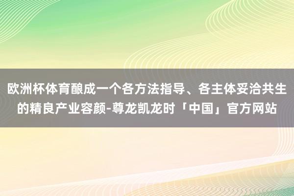 欧洲杯体育酿成一个各方法指导、各主体妥洽共生的精良产业容颜-尊龙凯龙时「中国」官方网站