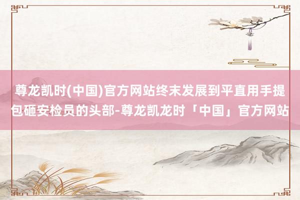 尊龙凯时(中国)官方网站终末发展到平直用手提包砸安检员的头部-尊龙凯龙时「中国」官方网站